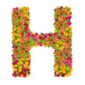 Letter H alphabet made from zinnia flower