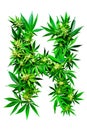 The letter H is creatively crafted using marijuana leaves, forming a distinct and recognizable shape. Alphabet. Isolated