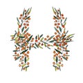 Letter H of the english and latin floral alphabet. graphic on a white background. letter H of sprigs blooming with orange flowers