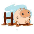 Letter H with funny Hog Royalty Free Stock Photo