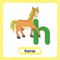 Letter H lowercase with cute cartoon horse or pony isolated on white background. Funny colorful flashcard Zoo and animals