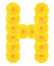 Letter H made from dandelions