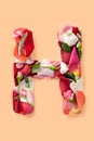 Letter H made from red roses and petals on a white background Royalty Free Stock Photo