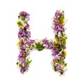 The letter ÃÂ«HÃÂ» made of various natural small flowers.