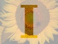 letter I of the alphabet made with a sunflower