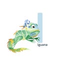 Letter I, iguana, cute kids colorful animal ABC alphabet. Watercolor illustration isolated on white background.