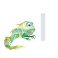 Letter I, iguana, cute kids colorful animal ABC alphabet. Watercolor illustration isolated on white background.