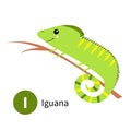 Letter I. Iguana. Zoo animal alphabet. English abc with cute cartoon kawaii funny baby animals. Education cards for kids. Isolated Royalty Free Stock Photo
