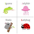 Letter I J K L Iguana Jellyfish Koala Ladybug Zoo alphabet. English abc with animals Education cards for kids White back Royalty Free Stock Photo