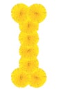Letter I made from dandelions Royalty Free Stock Photo