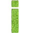 Letter i with texture of fern leaves, font Helvetica Word