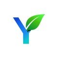 Letter Y Leaf Nature Icon Vector Logo