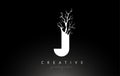 Letter J Design Logo with Creative Tree Branch. J Letter Tree Icon Logo