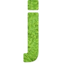 Letter j with texture of fern leaves, font Helvetica Word