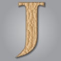 Letter J of textured leather. Decorative alphabet on grey background Vector illustration