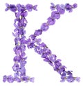 Letter K from alphabet, from flowers of violet, isolated on white background