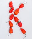 Letter K alphabet made with Ghost pepper Bhoot jolokia over white background