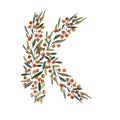 Letter K of the english and latin floral alphabet. graphic on a white background. letter K of sprigs blooming with orange flowers