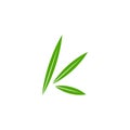 Letter k green leaf motion simple geometric symbol logo vector