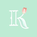 Letter K letterhead elegant pretty hand drawn floral illustration logo