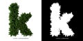 Letter k lowercase of leaves. Alphabet plants.