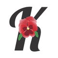 Letter K with single red pansy flower. Garden violet. Royalty Free Stock Photo