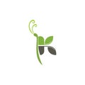 letter K stylish butterfly logo icon