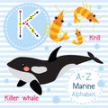 Letter K tracing. Killer whale. Krill. Marine alphabet