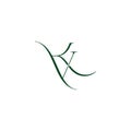 letter kv simple curves thin line logo vector Royalty Free Stock Photo