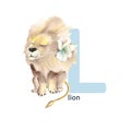 Letter L, lion, cute kids animal ABC alphabet. Watercolor illustration isolated on white background. Can be used for