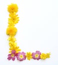 natural fresh yellow and pink flowers blossoms letter L freshly picked in spring Royalty Free Stock Photo