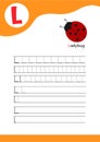 Letter L with a picture of ladybug and seven lines of letter L writing practice. Handwriting practice and alphabet learning