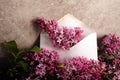 Letter of Lilacs Royalty Free Stock Photo