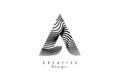 Letter A logo with black twisted lines. Creative vector illustration with zebra, finger print pattern lines