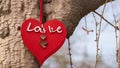 letter Love hanging on tree for valentines day