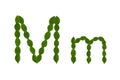 Letter M, alphabet made from green leaves