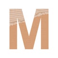 Letter M of the English alphabet, gray paper cardboard texture on white background - Vector