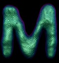 Letter M made of natural green snake skin texture isolated on black. Royalty Free Stock Photo