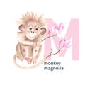 Letter M, monkey, magnolia, cute kids colorful animals and flower ABC alphabet. Watercolor illustration isolated on