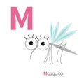 Letter M Mosquito Zoo alphabet. Insect English abc with animals Education cards for kids White background Flat design
