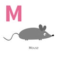 Letter M Mouse Zoo alphabet. English abc with animals Education cards for kids White background Flat design