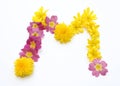 natural fresh yellow and pink flowers blossoms letter M freshly picked in spring Royalty Free Stock Photo