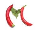 letter M from red chili pepper and green herbs, parsley letter for herb cook book, recipe