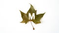 letter m stamped on green and yelllow autumn leaf, on  background Royalty Free Stock Photo