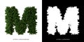 Letter M uppercase of leaves. Alphabet plants. Royalty Free Stock Photo