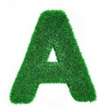 Letter made of grass