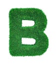 Letter made of grass