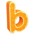 Letter made from orange