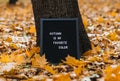 Letter message board with text Autumn is my favorite color. Autumn motivation quotes