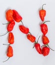 Letter N alphabet made with Ghost pepper Bhoot jolokia over white background